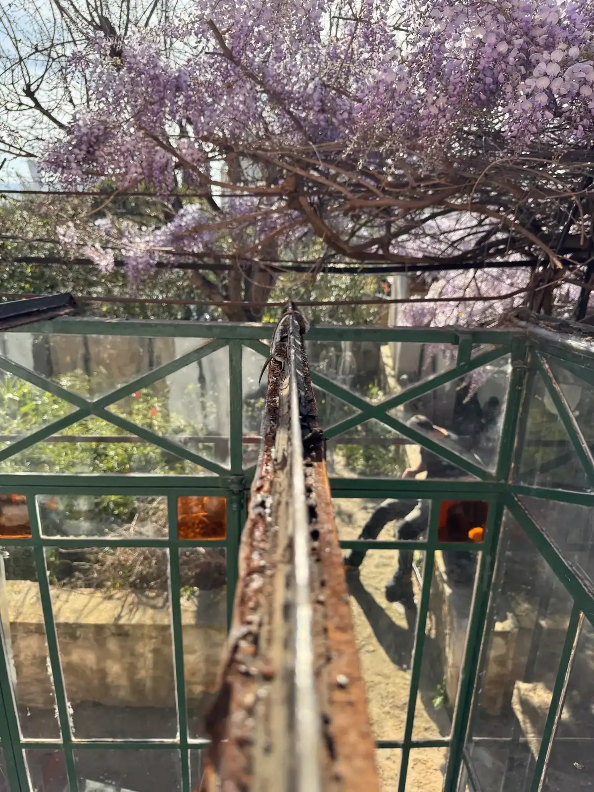 Verrière abîmée par la rouille